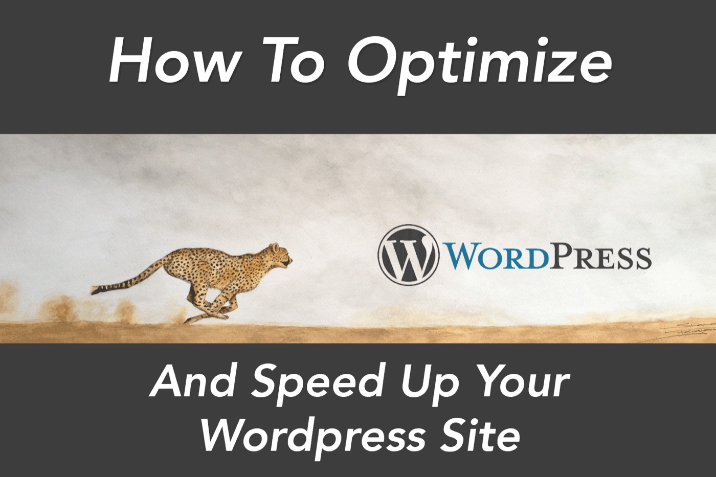 12 Ways To Optimize And Speed Up Your WordPress Website