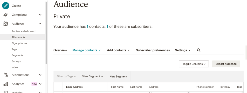 audience section on mailchimp
