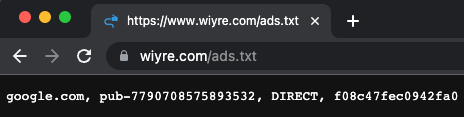 This is what the ads.txt file looks like when you navigate to the file on your website